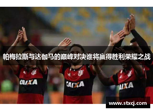 帕梅拉斯与达伽马的巅峰对决谁将赢得胜利荣耀之战